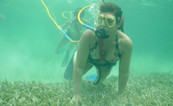 Grand Turk Snuba cruise excursion